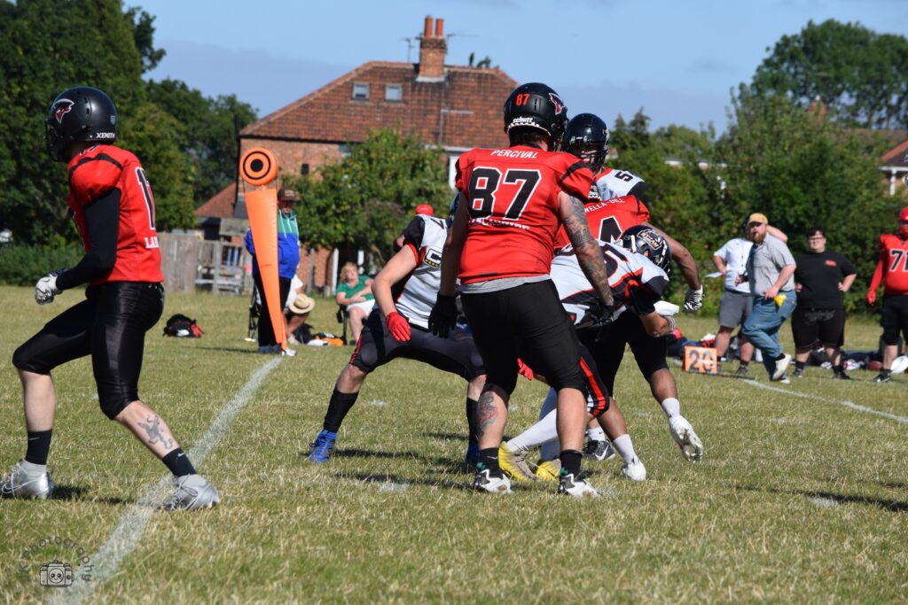 H-Bucs-26_650